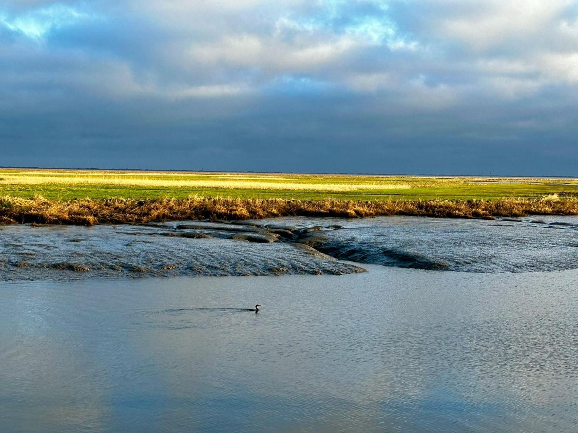 Aar Nordsee Appartement Varel Kültér fotó